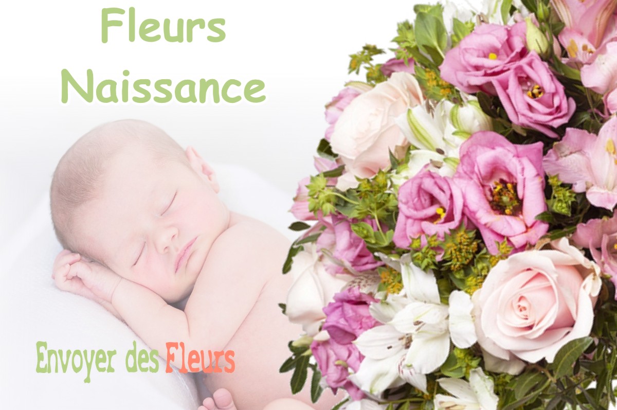 lIVRAISON FLEURS NAISSANCE à VERNET